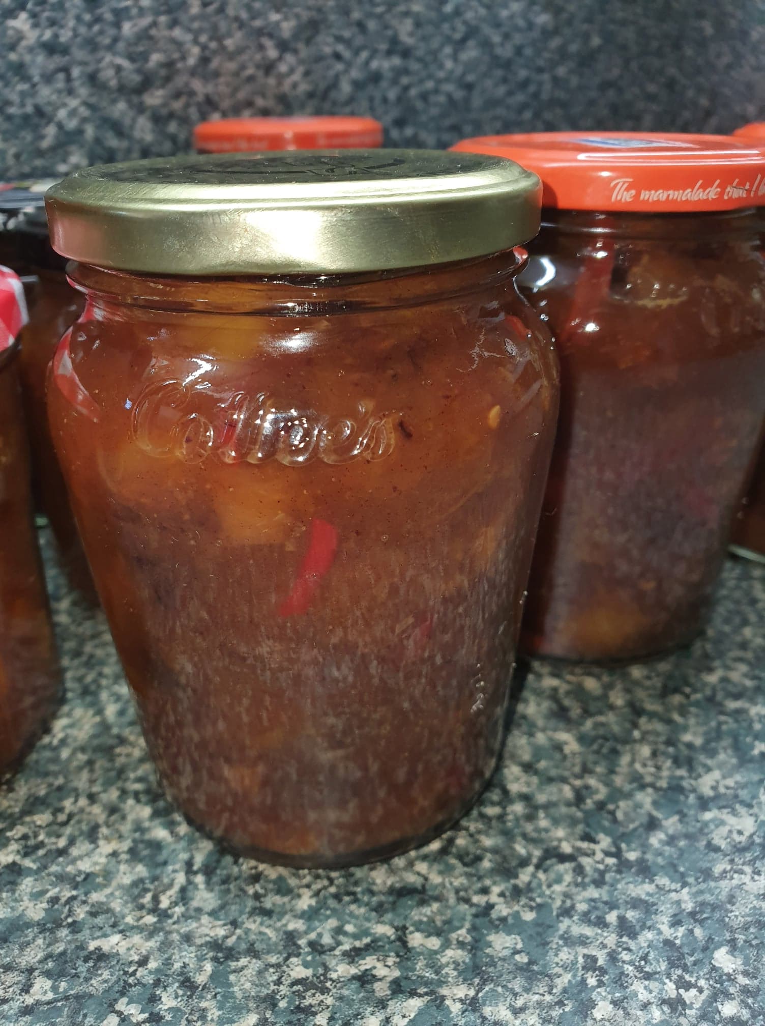 Rhonda's Spicy Mango Chutney